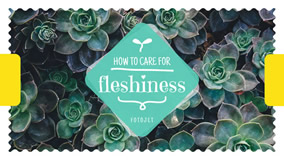 Care for fleshiness YouTube