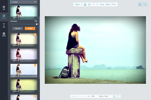 Free Online Photo Filters and Image Effects Editor 